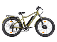 Электрофэтбайк VOLTECO BigCat Dual Next (черный)