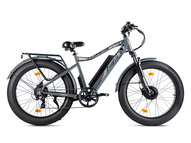 Электрофэтбайк VOLTECO BigCat Dual Next (черный)