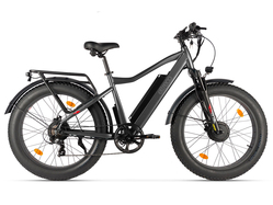 Eltreco BigCat Dual Next PRO (черный матовый)