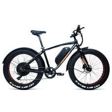 Forward Bizon E-500