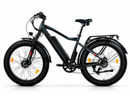 Электрофэтбайк Eltreco BigCat Dual Next PRO (серебристый матовый)