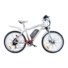 CYCLEMAN E-MAX