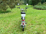 Электровелосипед GreenCamel Транк 20 V8 (R20 250W 60V 10Ah)