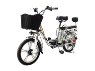 Электровелосипед GreenCamel Транк-18 V2 (R18 250W) [без АКБ]