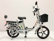 Электровелосипед GreenCamel Транк 18 V8 (R18 250W 60V 20Ah)