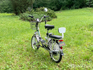 Электровелосипед GreenCamel Транк 20 V8 (R20 250W 60V 10Ah)