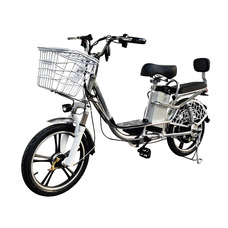 Delivery Line V8 (8,8Ah 48V 350W, 18 дюймов)