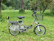 Электровелосипед GreenCamel Транк 20 V8 (R20 250W 60V 10Ah)