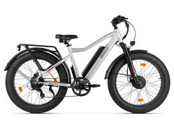 Eltreco BigCat Dual Next (серебристый матовый) Eltreco BigCat Dual Next (серебристый матовый)