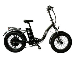 Elbike Taiga 1 St (Черный)