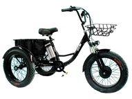 Трицикл электрический GreenCamel Трайк-F20 (R20FAT 500W 48V15Ah), Черный