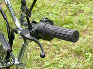 Электровелосипед GreenCamel Транк 20 V8 PRO (R20 250W 60V 20Ah)