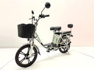 Электровелосипед GreenCamel Транк 18 V8 (R18 250W 60V 20Ah)